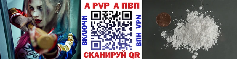 площадка клад  kraken как зайти  Циолковский  как найти закладки  A PVP СК 