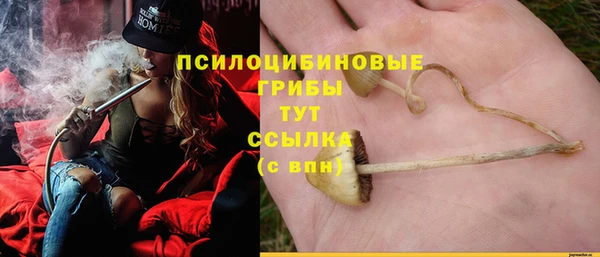 2c-b Балахна